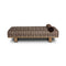 Teia Chaise Lounge  option Sandhill Cocoa / Distressed Sable / Monte Chocolate