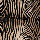 Zebra Printed Hide Rug
