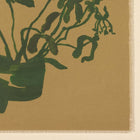 Blooms XXX by Brittney Schulz Wall Art