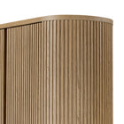 Delphi Cabinet