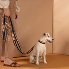Franco Dog Leash