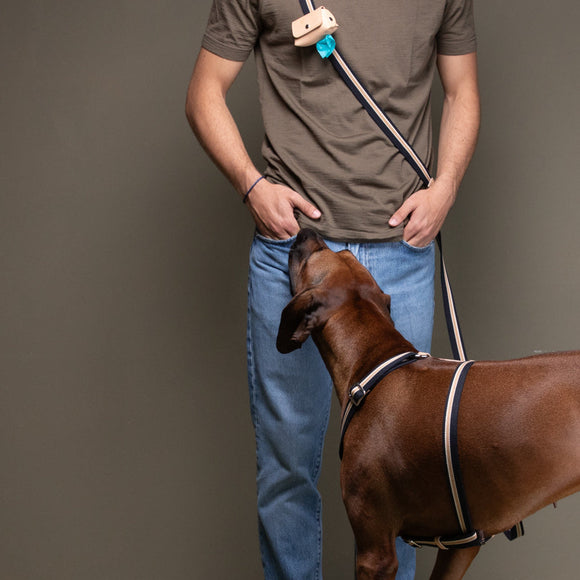 Franco Dog Leash