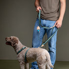 Franco Dog Leash