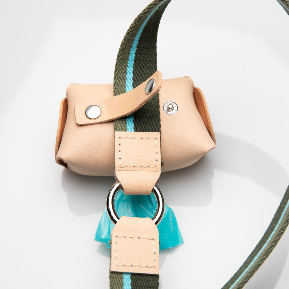 Franco Dog Leash