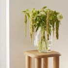 Hydro Vase