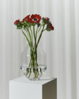 Hydro Vase