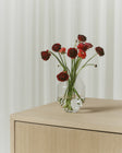 Hydro Vase