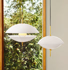 Clam Pendant Light