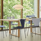 Clam Pendant Light