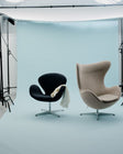 Egg Lounge Chair