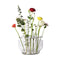 Ikebana Vase  option Stainless Steel