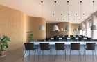 Suspence Pendant Light