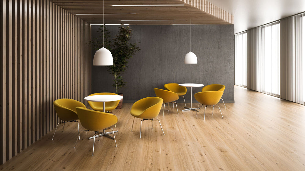 Suspence Pendant Light