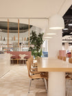 Suspence Pendant Light
