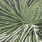 Botanica Large Rug  option Green