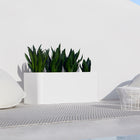 Sonora Outdoor Planter with Wheels