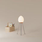Baltra Portable LED Floor Lamp