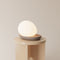Baltra LED Table Lamp  option Smoke