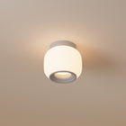 Canopy LED Flush Mount