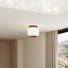 Canopy LED Flush Mount