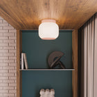 Canopy LED Flush Mount