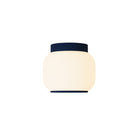 Canopy LED Flush Mount