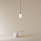 Goby LED Pendant Light