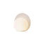 Noah LED Table Lamp  option Mist