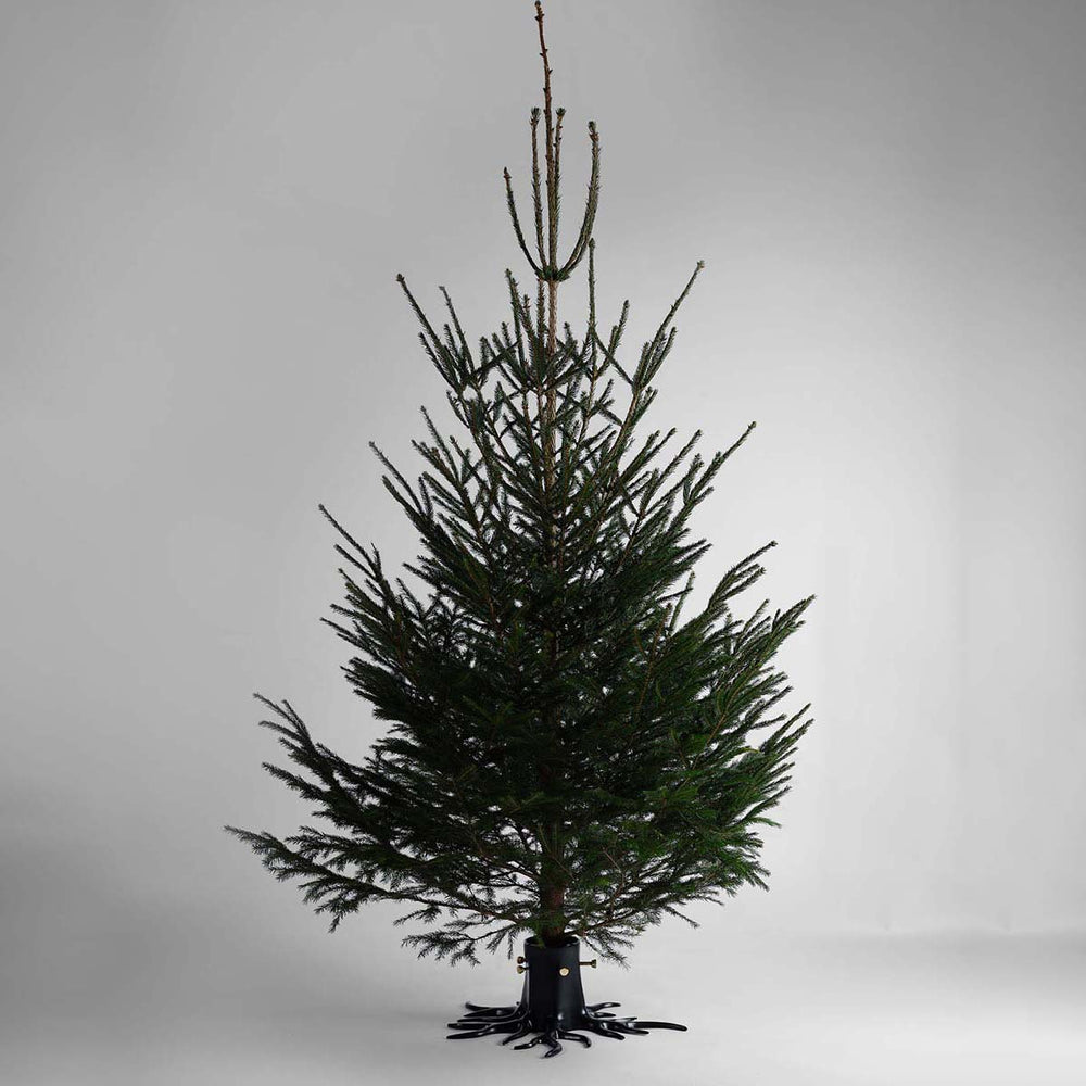 Christmas Tree Stand