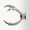 Claw Wall Mount  option Silver