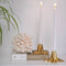 The Root Candle Holder  option Brass