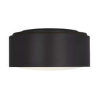 Albee Flush Mount