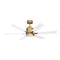 Flera Smart Ceiling Fan  option Burnished Brass