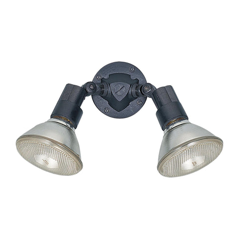 Two Light 8642 Outdoor Adjustable Swivel Flood Light