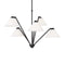 Werley Chandelier  option Midnight Black