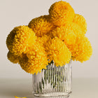 Bernadotte Oval Vase
