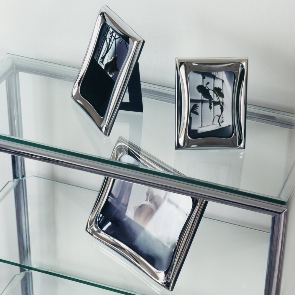 Cobra Picture Frame