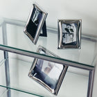 Cobra Picture Frame