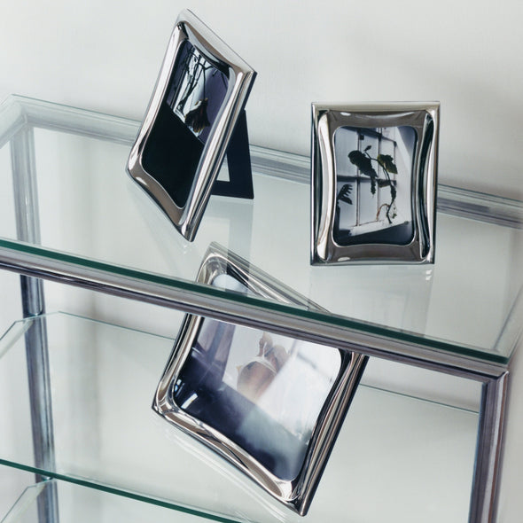 Cobra Picture Frame