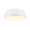 Conc LED Flush Mount  option Matte White