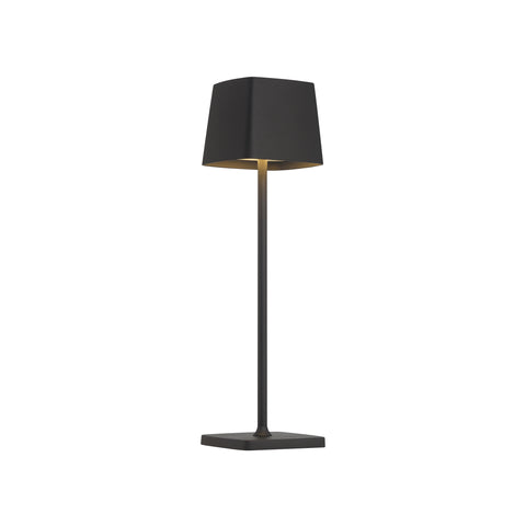 P1665 LED Portable Table Lamp