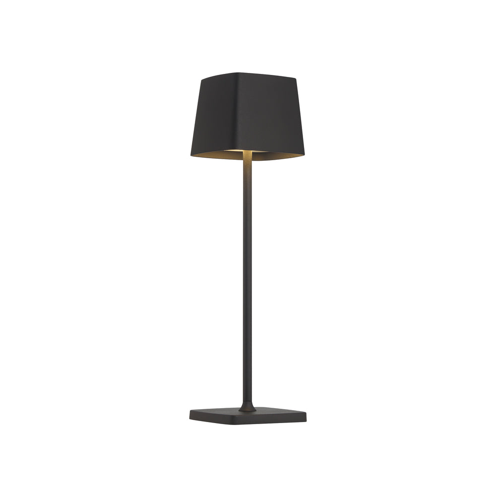 P1665 LED Portable Table Lamp