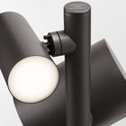 Cancan Table Lamp