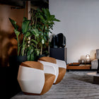 Lorelei Lounge Armchair