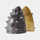 Biomorphic Bookend (Set of 2)