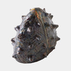 Biomorphic Bookend (Set of 2)