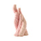 Coral Vase  option Pink