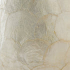 Lydia Abalone Shell Scaled Accent Table Lamp