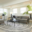 Plicare Velvet Woven Pillow