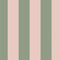 Canopy Stripe Wallpaper Sample Swatch  option Green / Pink Sample
